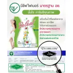☀BELEAF FIBER BEIFACE FIBACE FICT 4 boxes for free 1 box