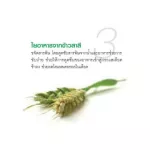 D-TOC Chlorophyll Plus Giffarine, Detox Detox Detox