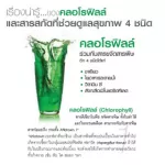 D-TOC Chlorophyll Plus Giffarine, Detox Detox Detox