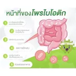 Amway, fiber probiotics, helping to lose weight, weight loss, Nutrilte, authentic Thai label !! Probiotic Probiotic + Fiber Power Amway