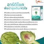 MVMALLE LEBER LEBER Liver detoxification helps liver function.