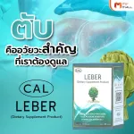 MVMALLE LEBER LEBER Liver detoxification helps liver function.