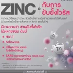ซิงค์คอลลาเจน กิฟฟารีน Zinc And Collagen ซิงก์ แอนด์ คอลลาเจน กิฟฟารีน