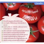 ไลโคปีน กิฟฟารีน ไลโคพีน Giffarine สารสกัดมะเขือเทศ ลดริ้วรอย ต้านอนุมูลอิสระ