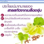 กิฟฟารีน เกรปซีอี แมกซ์ Grape C-E Maxx สารสกัดจากเมล็ดองุ่น บำรุงผิวพรรณ ลดฝ้า กระ จุดด่างดำ สารต้านอนุมูลอิสระสูง