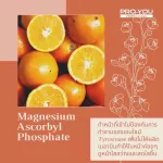 Proyou โปรยู ครีมทาหน้า 20g. ของแท้ล๊อตใหม่ ครีมทาหน้าโปรยู ครีมวิตามินซี Vita สิว รอยสิว หน้าขาวใส จุดด่างดำ ครีมทาหน้าโปรยู tarbeauty