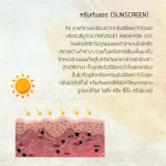 กันแดดโปรยู Proyou โปรยู ของแท้ล๊อตใหม่ กันแดด กันแดดทาหน้า กันแดดวิตซี โปรยูกันแดด กันแดดคุมมัน sunscreen spf starbeauty