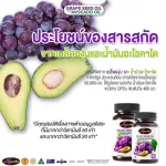 Auswelllife Grape Seed + Avocado Oil + Acerola Cherry เมล็ดองุ่นสกัด น้ำมันอะโวคาโด มีสาร OPCs 400 มก.  มี 2 ขนาด 30 และ 60 เม็ด