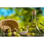 ไฮ โอลีฟ ผลิตภัณฑ์เสริมอาหาร น้ำมันมะกอก ธรรมชาติ กิฟฟารีน ไฮ-โอลีฟ กิฟฟารีน