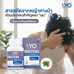 LYO Biotin Plus Horsetail 4500MCG วิตามินบำรุงผม ไบโอติน พลัส ฮอร์สเทล 1 กระปุก 30 แคปซูล. ช่วยในการบำรุงเส้นผม ลดการขาดหลุดร่วง
