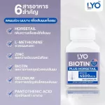 LYO Biotin Plus Horsetail 4500MCG วิตามินบำรุงผม ไบโอติน พลัส ฮอร์สเทล 1 กระปุก 30 แคปซูล. ช่วยในการบำรุงเส้นผม ลดการขาดหลุดร่วง
