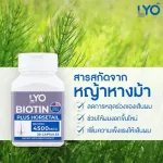 LYO Biotin Plus Horsetail 4500MCG วิตามินบำรุงผม ไบโอติน พลัส ฮอร์สเทล 1 กระปุก 30 แคปซูล. ช่วยในการบำรุงเส้นผม ลดการขาดหลุดร่วง