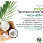 Natural coconut oil supplements, cold coconut 500 mg, soft capsule type, Giffarine