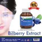 Bilberry Extract สารสกัดจากบิลเบอร์รี่ x 1 ขวด morikami LABORATORIES โมริคามิ ลาบอราทอรีส์