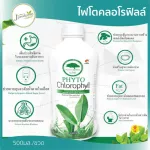 ของแท้! ไฟโตคลอโรฟิลล์Phyto Chlorophyll 500ml.หมดอายุ 09/2022 PHHP อาหารเสริมสุขภาพ คนทานเจทานได้