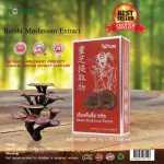 Ganoderma lucidum extract x 1 box. RESHI Mushroom Extract. Ganoderma lucidum nourishes the Nature x 30 capsule.