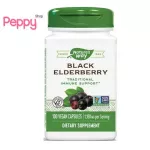 Nature's Way Black Elderberry 1,150 mg 100 Vegan Capsules แบล็คอัลเดอร์เบอร์รี่ ป้องกันหวัด 100 เวจจี้แคปซูล