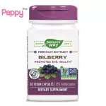 Nature's Way Bilberry 60 Vegan Capsules Bilberry 60 Wigan Capsule