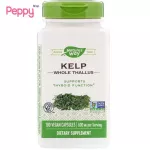 Nature's Way Kelp Whole Thallus 600 mg 180 Vegan Capsules สาหร่ายเคล์ป
