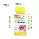 Solaray Organically Grown Echinacea 450 mg 100 Vegcaps Eccanasia 100 Weigi Capsule