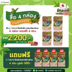 4 กล่อง แถม 4 ซอง Charnn  Plant based Protein Matcha โปรตีนพืช มาตรฐานระดับโลก สูตรคลีน  รสเข้มข้นจากมัทฉะแท้