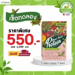 Charnn Plant based Protein MatCha Flavor  ฌาน อาหารเสริม โปรตีนจากข้าวกล้องแท้  โปรตีน 18 g