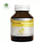 AMSEL L-Carnitine Brown Seaweed and Grape Seed Extract, brown algae extract and grape seed extract 30 capsule