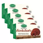 Dr.Surapol 5 boxes, Surapol, Ganoderma lucidum, 5 boxes/ 250 mg/ 30 capsules