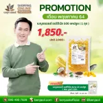 โปรโมชั่น เบญจออยล์ ออริจินัล ขนาด 500 แคปซูล แถม 25 แคปซูล