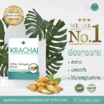 Krachai Extract from Krachai White