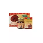 Dr.Surapol, 1 box of concentrated mushroom juice, Dr.Surapol, Lin Chu, concentrated extract, Dr. Suraphon 70ml.