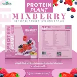 Protein Plants formula 1 protein planet 10 flavors of protein from organic protein protein from peas, peas, instant potatoes, 1 box of powder, containing 7 sachets