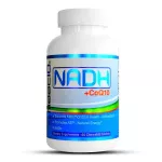 น้ำพุแห่งการชะลอวัย NADH MAAC10 NADH + CoQ10 อาหารเสริม | รองรับความเหนื่อยล้าพลังงานและ NAD + | วิตามินบี 3 ที่ใช้งานอยู่ | 50mg PANMOL® NADH + 100mg