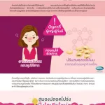 เมก้า วี แคร์ มัลติไลฟ์ 30 เม็ด 1กระปุก