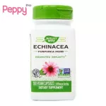 Nature's Way Echinacea Purpurea Herb 1,200 mg 180 Vegan Capsules เอ็กไคนาเซีย 180 วีแกนแคปซูล