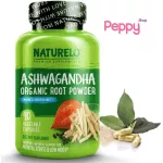 NATURELO Ashwagandha Organic Root Powder 90 Vegetable Capsules โสมอินเดียสกัด 90 เวจจี้แคปซูล