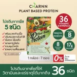 Charnn Plant Based Protein, 36 protein supplements, without cow's milk, soybean, cholesterol.