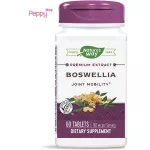 Nature's Way Boswellia 307 mg 60 Tablets กำยานอินเดีย 60 เม็ด