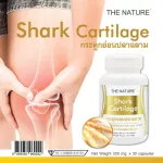 กระดูกอ่อนปลาฉลาม เดอะเนเจอร์ x 1 ขวด เดอะ เนเจอร์ Shark Cartilage THE NATURE ปวดข้อ ปวดเข่า