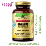 Solgar Bilberry Berry Extract 60 Vegetable Capsules บิลเบอร์รี่ บำรุงสายตา 60 เวจจี้แคปซูล
