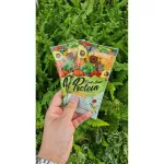 Charnn Plant Based Protein No saturated fat And cholesterol, easy to eat, mellow