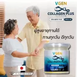 Vgen Collagen Plus Tripeptide Type2&3 วีเจนคอลลาเจนพลัส ไตรเปบไทด์ไทพ2&3 กระปุก 150 กรัม 2+2กระปุกฟรี50กรัม 2กระปุกฟรีวีเจนไวทเทนนิ่ง Collagen