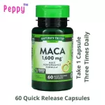 Nature's Truth Maca 1,600 mg 60 Quick Release Capsules 60 capsules