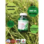 ฟ้าทลายโจรออร์แกนิค 500 mg. 100 แคปซูล คุณภาพดี จากแหล่งป่าธรรมชาติ 100%