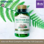 วาเลอเรี่ยน Valerian Root Complex 2400 mg 120 Capsules Piping Rock®