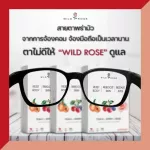 Wildrose, peach powder mixed with mixed milk, vitamins, easy to excrete, 5 sachets/boxing boxes, drinking without organic sugar from mixed berry, peach, rose, forest nourishing