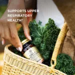 SOLGAR ESTER-C Plus Vitamin C 500 MG 100 Vegetable Capsules 500 milligrams of 100 milligrams