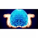 {[en]:Q-Sorb Co Q-10 100 mg 120 Softgels Puritan's Pride®