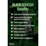 Black Coach Black Cohosh 540 mg 100 Capsules Puritan's Pride® Herbs