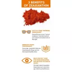 อาหารเสริมบำรุงสายตา Lutigold Nutra-Vision with Lutein Zeaxanthin & Omega-3 30 Softgels Puritan's Pride®